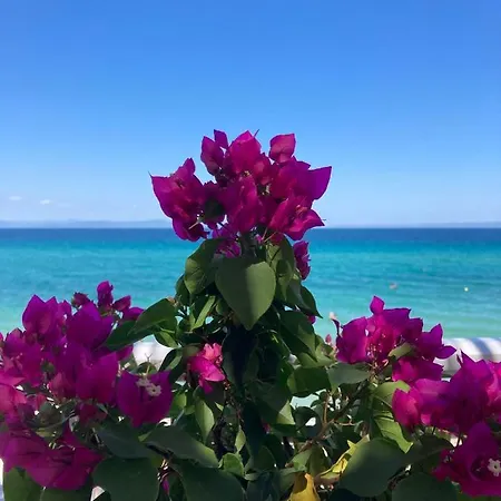 Paralia Homes Peaceful 2 Bedroom, Unit # 2 *