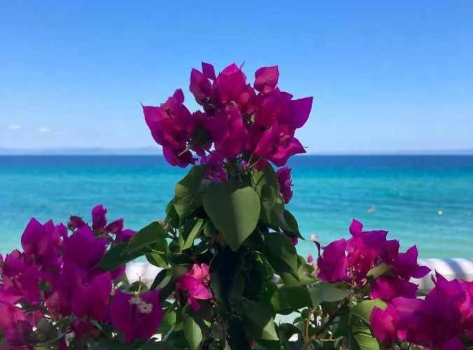 Paralia Homes Peaceful 2 Bedroom, Unit # 2 *