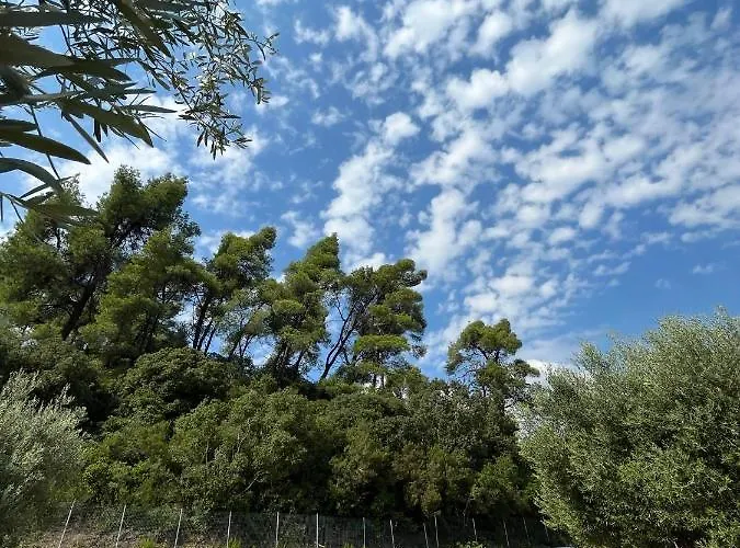 Paralia Homes Peaceful 2 Bedroom, Unit # 2 Tatil Evi *