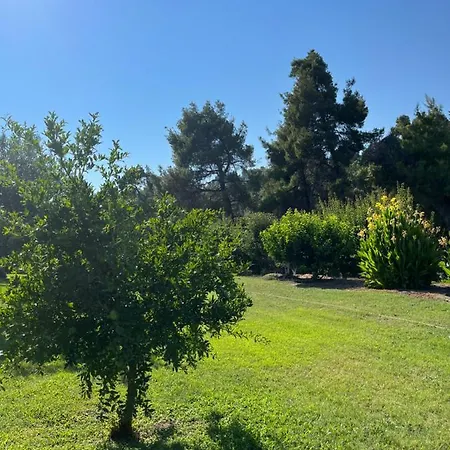 Paralia Homes Peaceful 2 Bedroom, Unit # 2 Holiday home