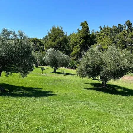 Paralia Homes Peaceful 2 Bedroom, Unit # 2 * Kriopigi