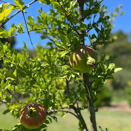 Holiday home Paralia Homes Peaceful 2 Bedroom, Unit # 2