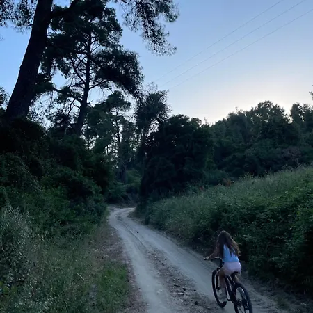 Paralia Homes Peaceful 2 Bedroom, Unit # 2 * Kriopigi