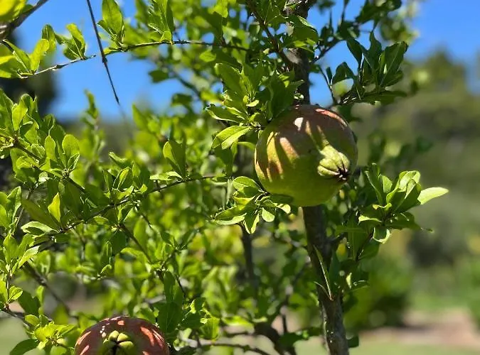 Σπίτι διακοπών Paralia Homes Peaceful 2 Bedroom, Unit # 2