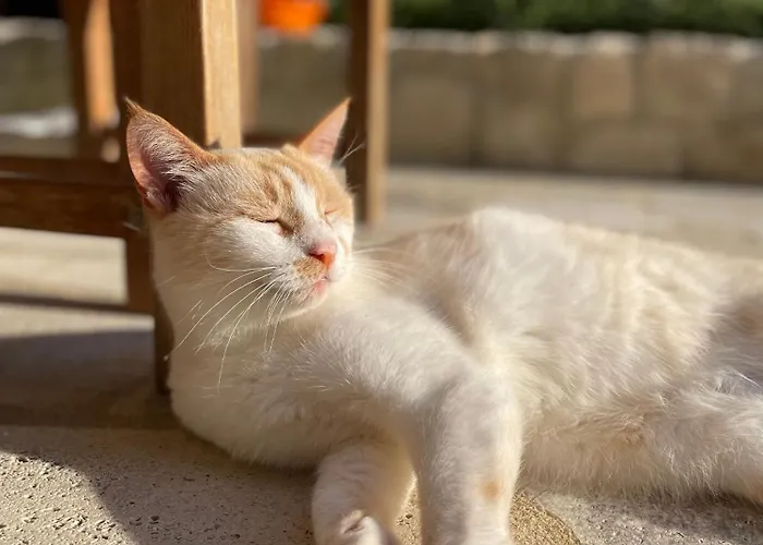 Σπίτι διακοπών Paralia Homes Peaceful 2 Bedroom, Unit # 2 Κρυοπηγή